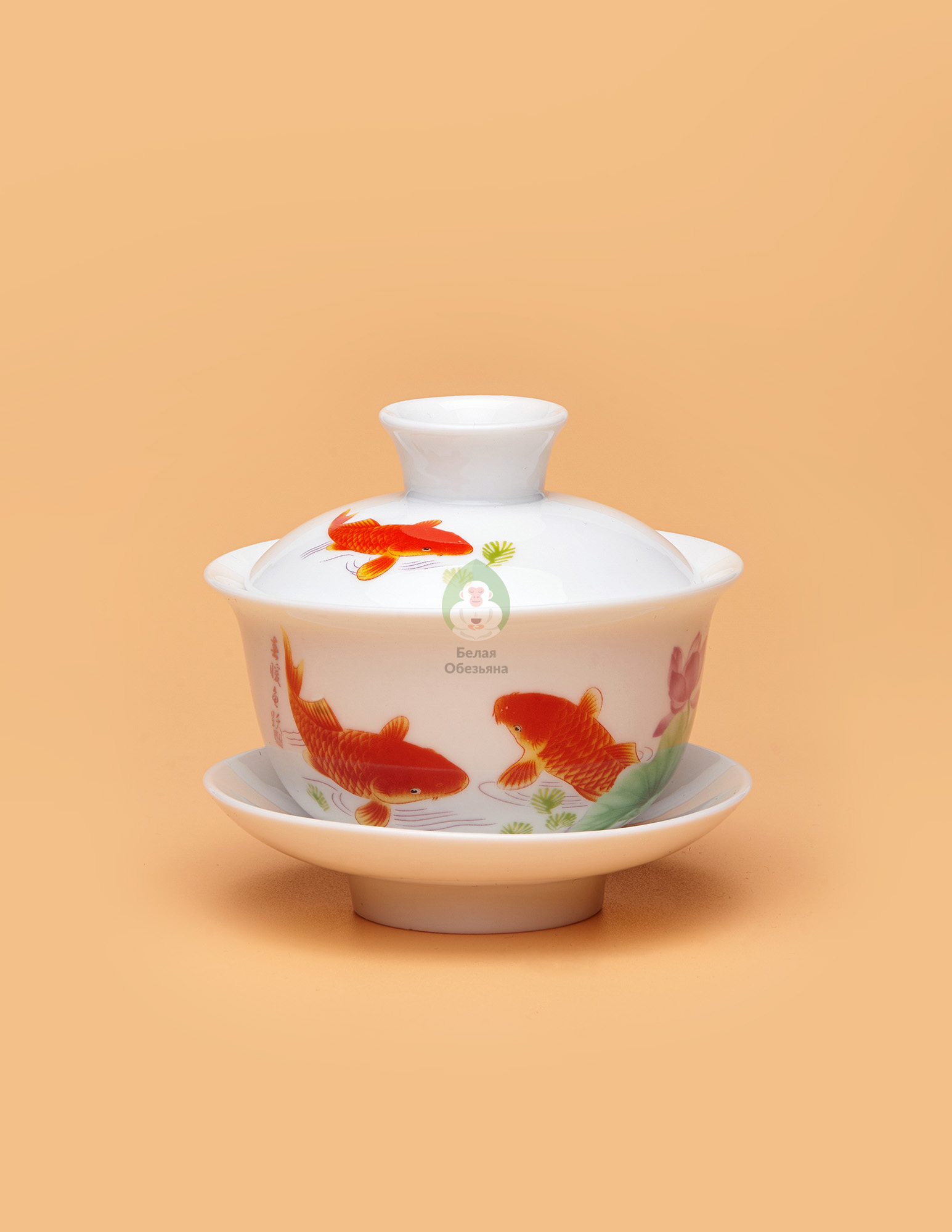 гайвань Карп