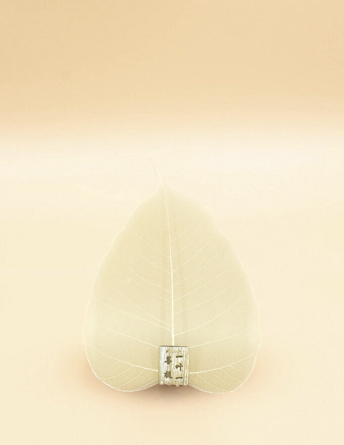 Сито для чая в форме листочка