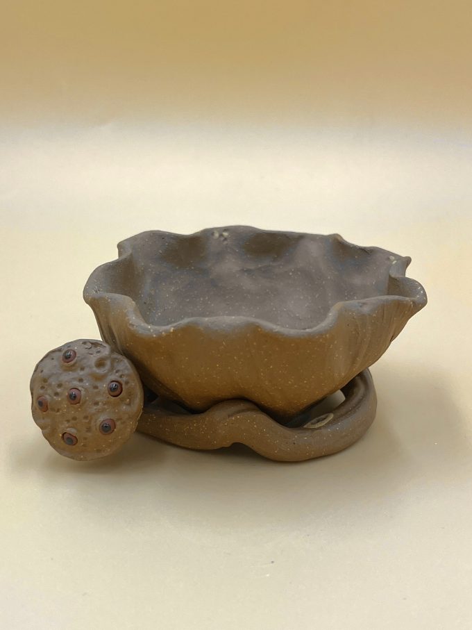 Сито Исин Семена Лотоса