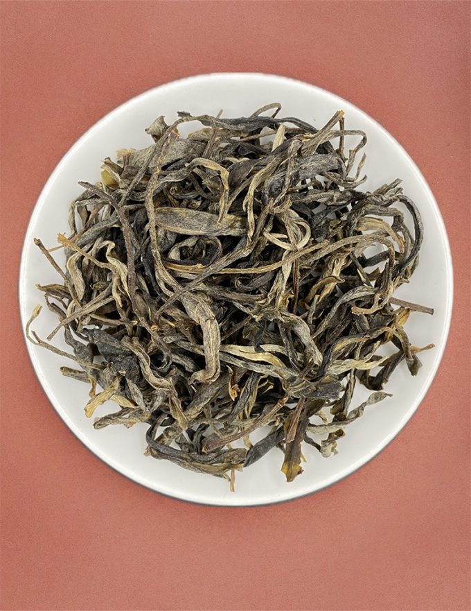 Гу Шу Шен с наших 500-летних деревьев